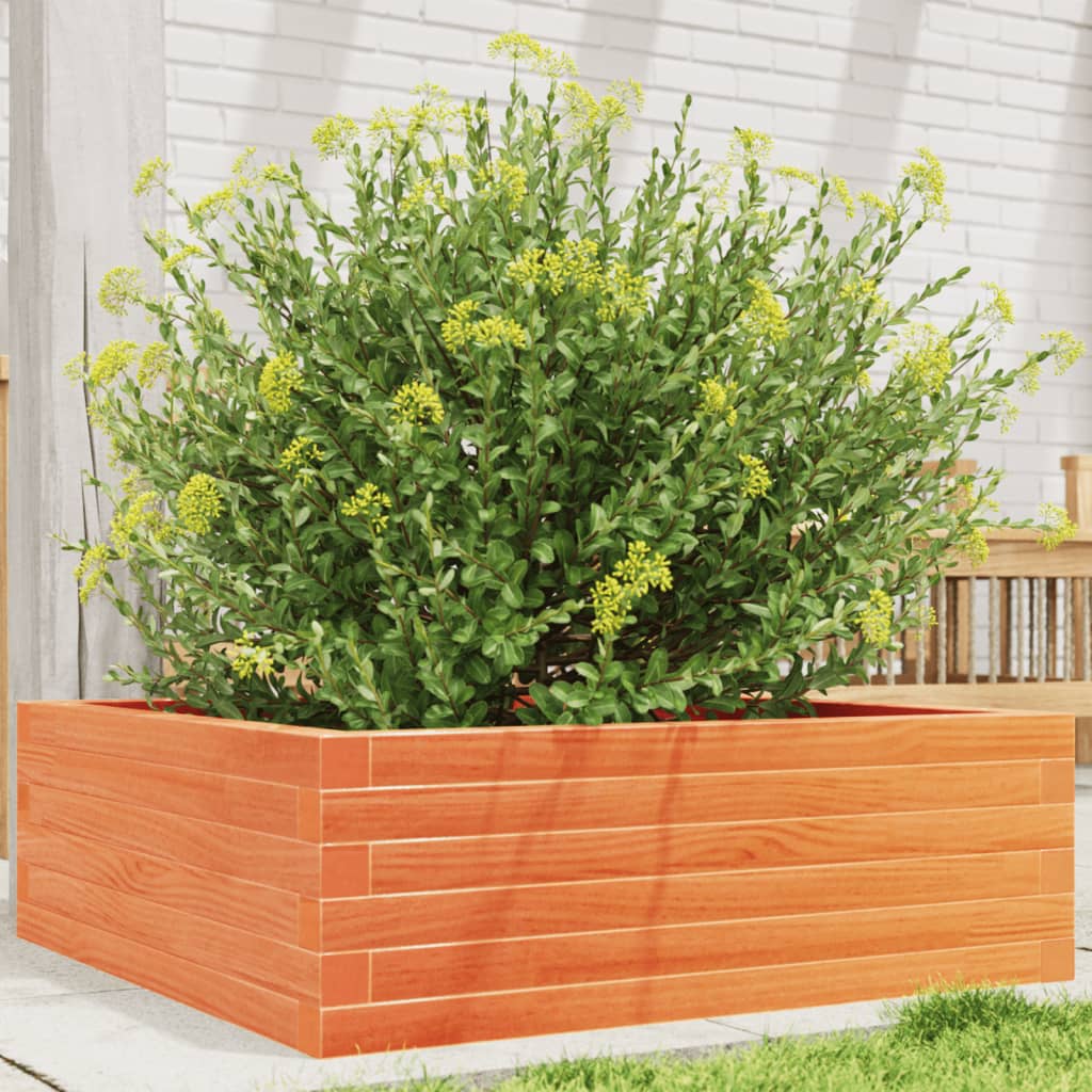 Vidaxl plantenbak 70x70x23 cm massief groenenhout wasbruin