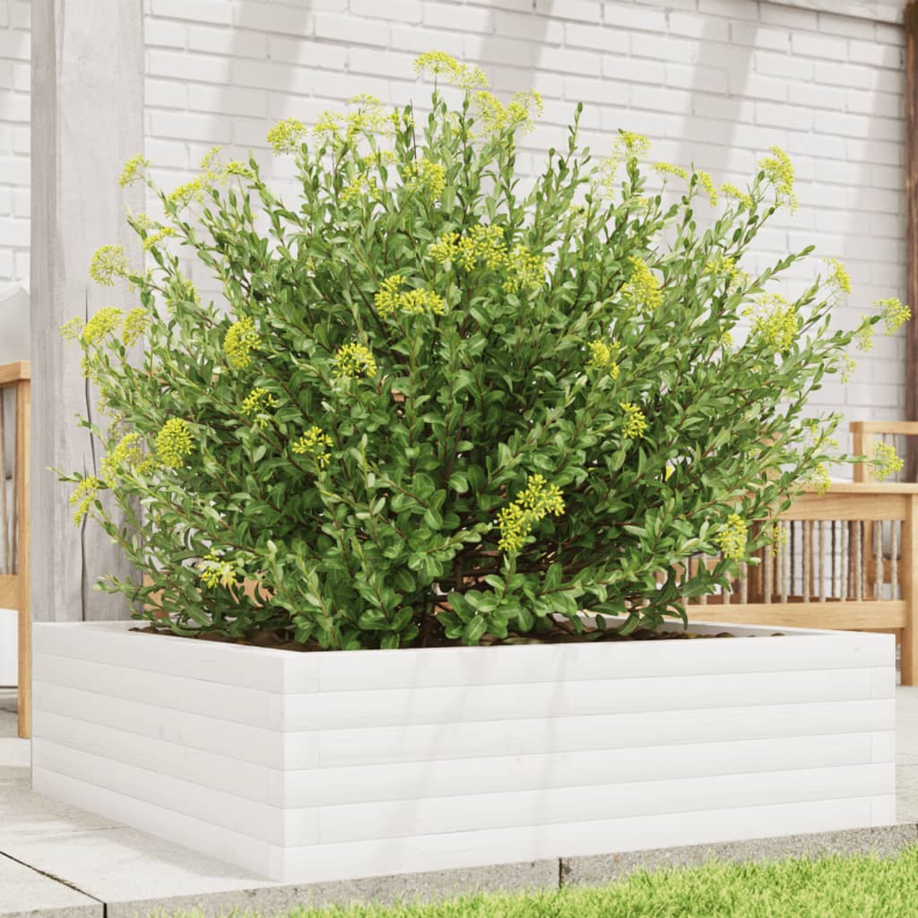 Vidaxl plantenbak 80x80x23 cm massief groenhout wit