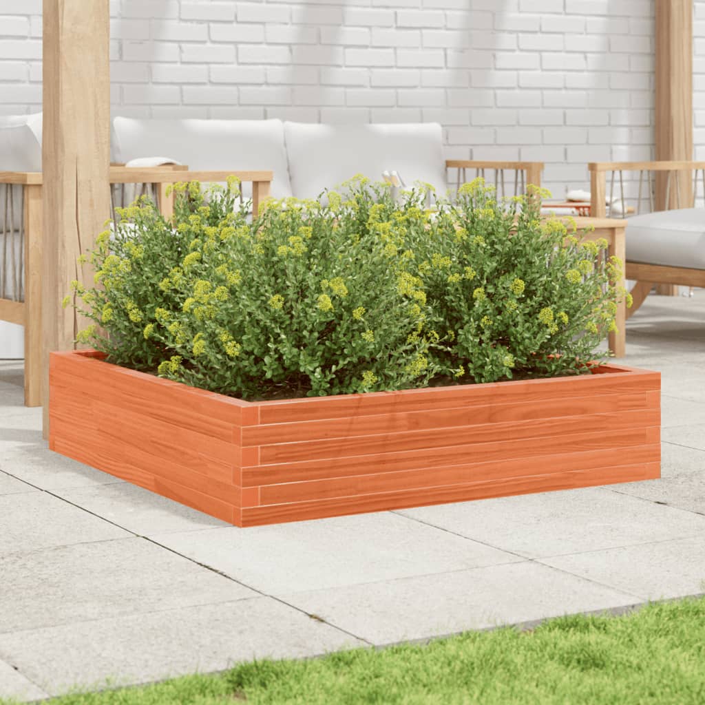 Vidaxl plantenbak 100x100x23 cm massief groenenhout wasbruin
