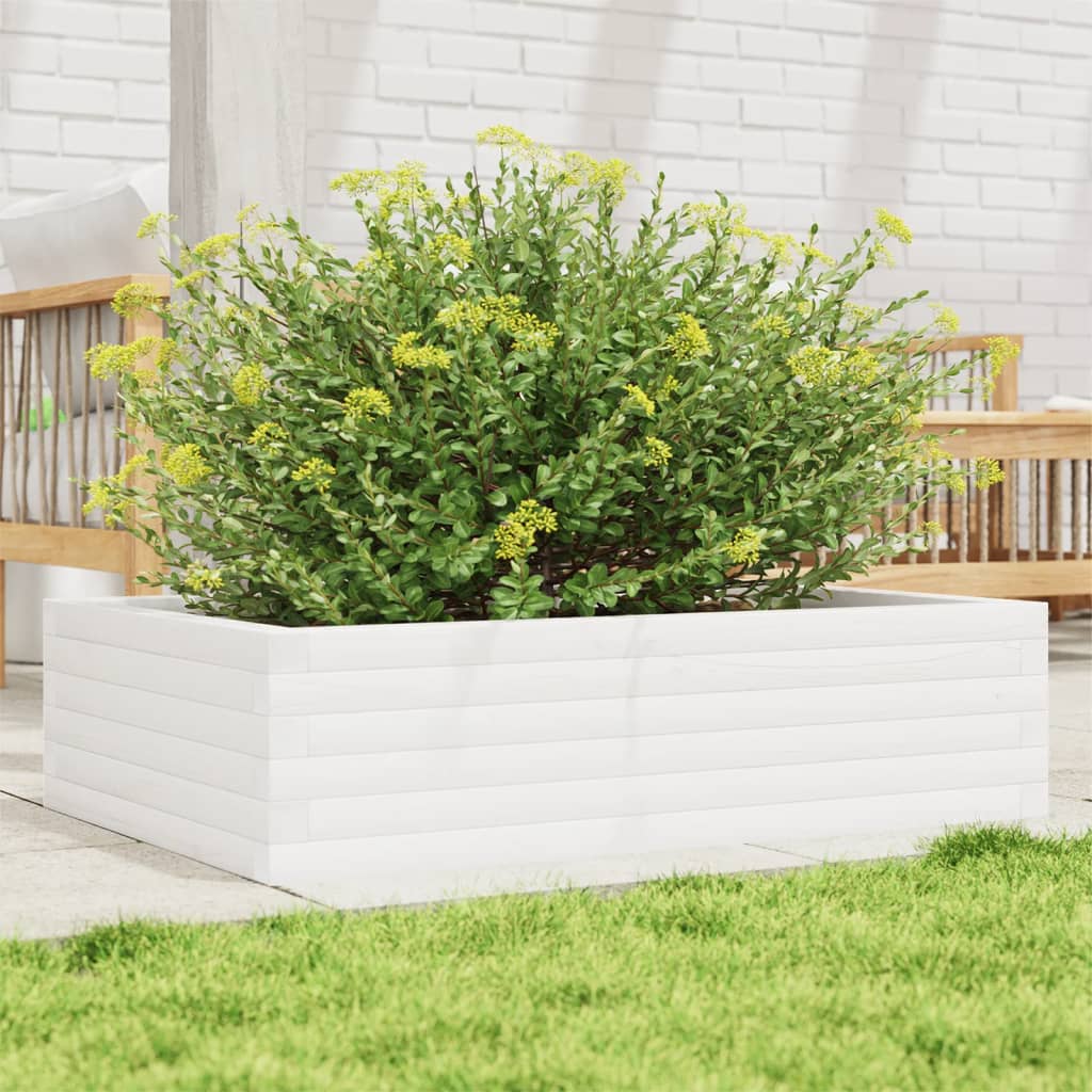Vidaxl plantenbak 90x60x23 cm massief groenhout wit