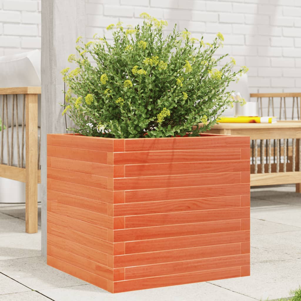 Vidaxl plantenbak 50x50x45,5 cm massief groenenhout wasbruin