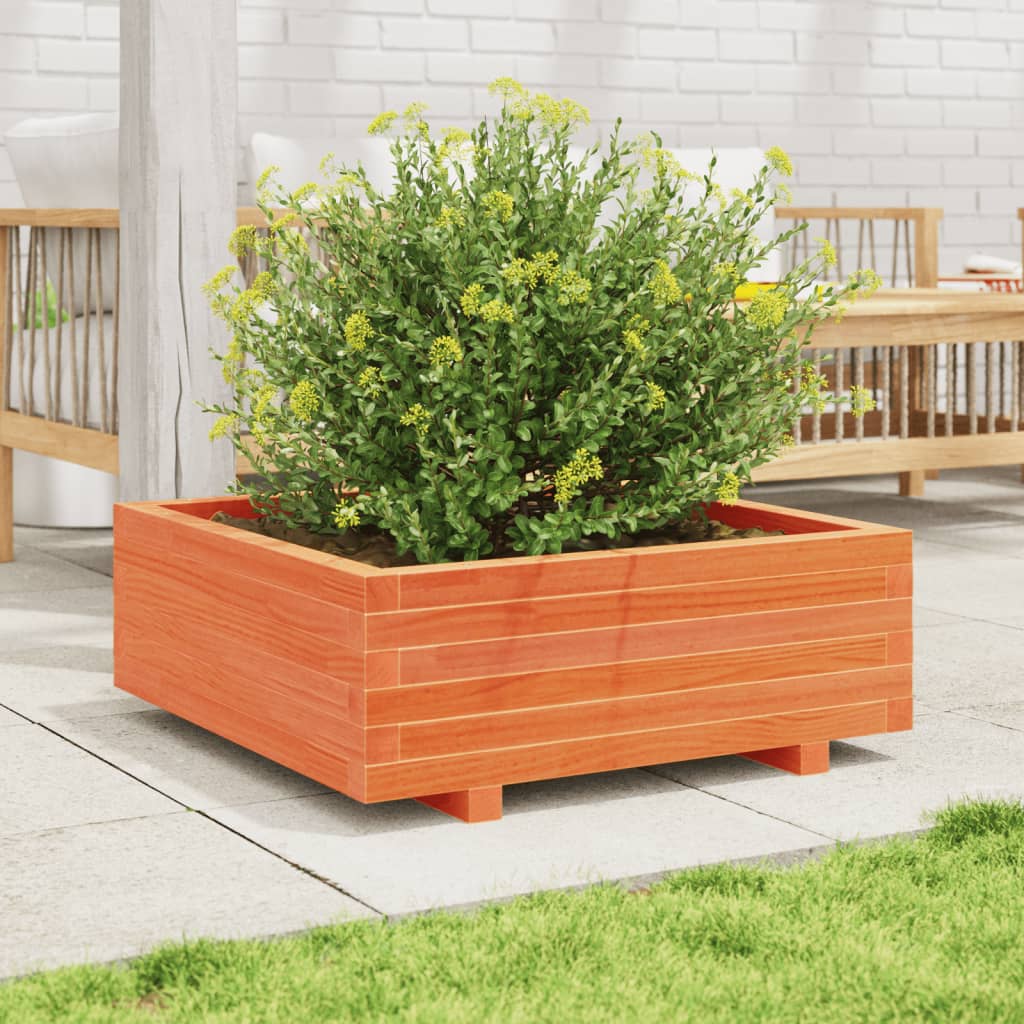 Vidaxl plantenbak 70x70x26,5 cm massief groenenhout wasbruin