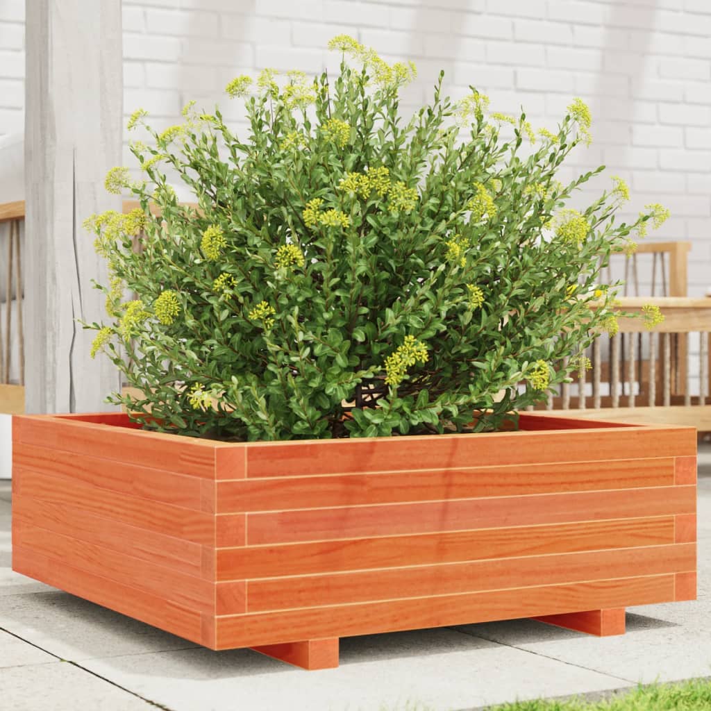 Vidaxl plantenbak 70x70x26,5 cm massief groenenhout wasbruin