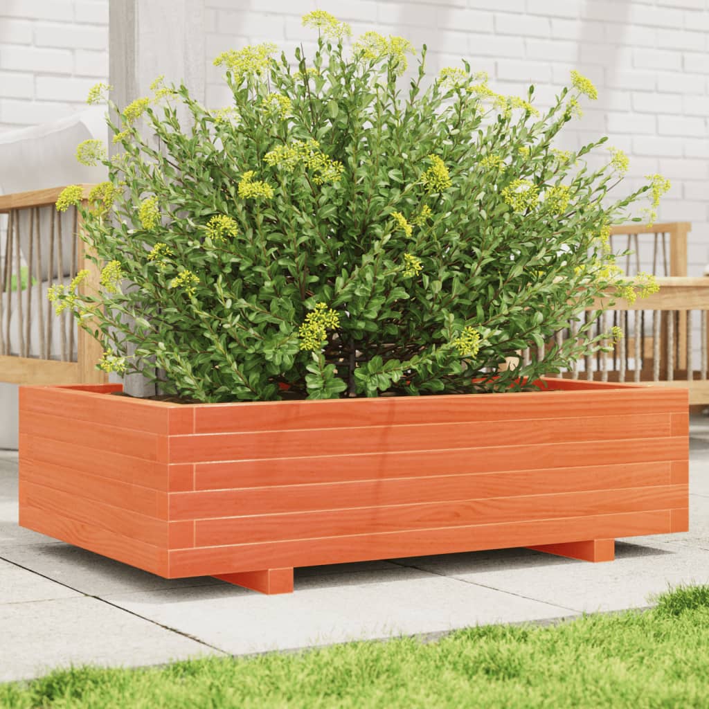 Vidaxl plantenbak 90x60x26,5 cm massief groenenhout wasbruin