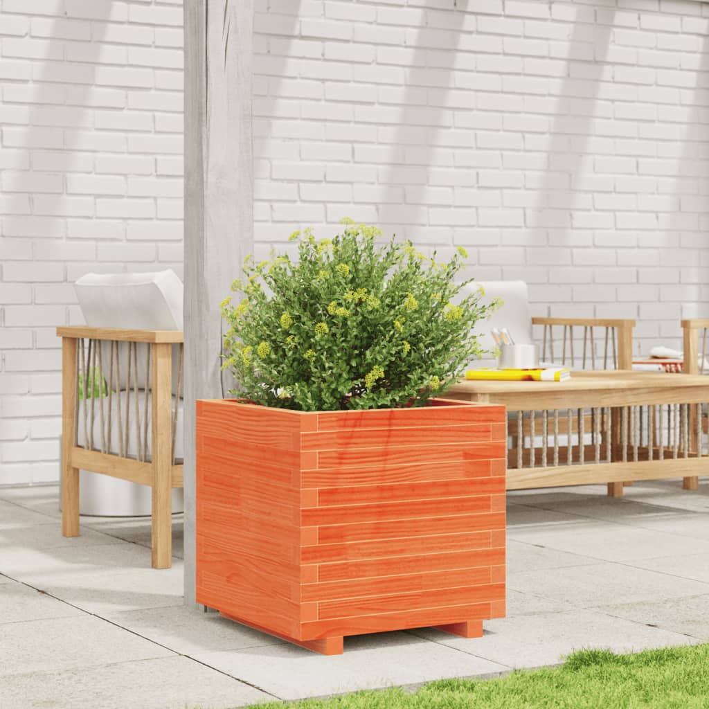 Vidaxl plantenbak 50x50x49,5 cm massief groenenhout wasbruin
