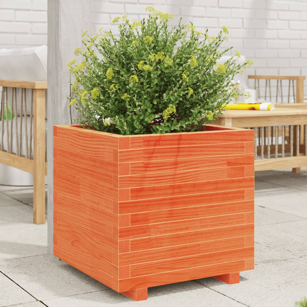 Vidaxl plantenbak 50x50x49,5 cm massief groenenhout wasbruin