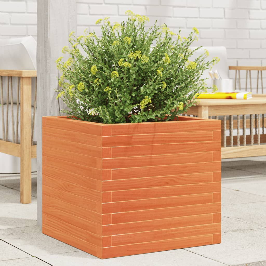 VidaXL Plantenbak 50x50x46 cm massief groenhout wasbruin