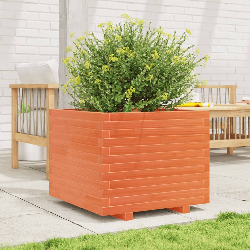 VidaXL Plantenbak 60x60x49,5 cm massief groenenhout wasbruin