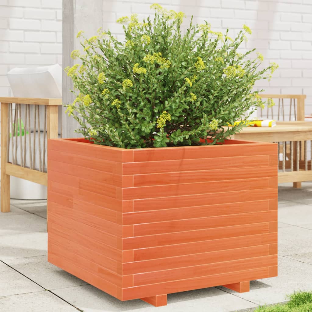 VidaXL Plantenbak 60x60x49,5 cm massief groenenhout wasbruin