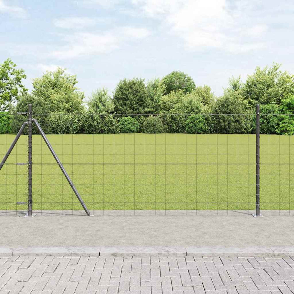 Vidaxl hek met paal grijs 1 x 10 m staal