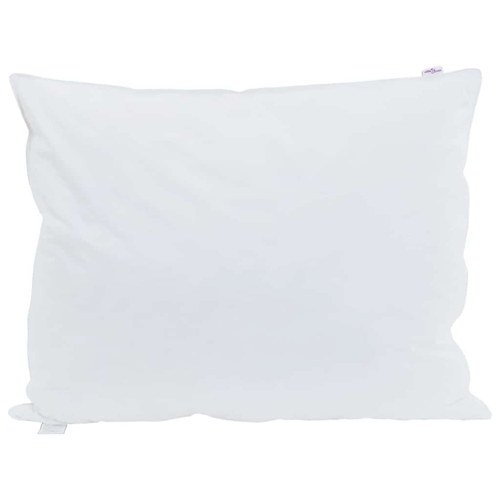 Vidaxl hoofdkussen met kussen 2 pcs wit 30 x 50 cm veren
