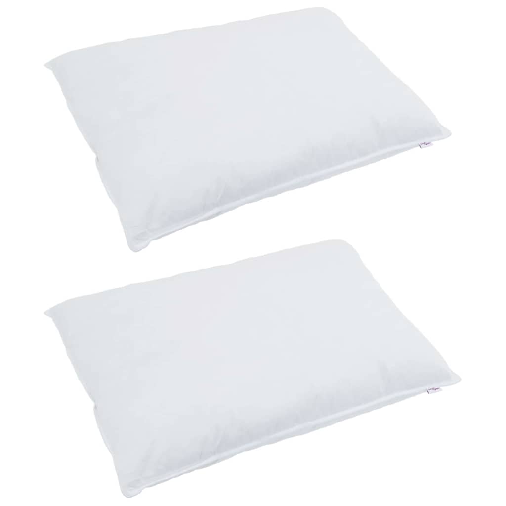 Vidaxl hoofdkussen met kussen 2 pcs wit 30 x 50 cm veren