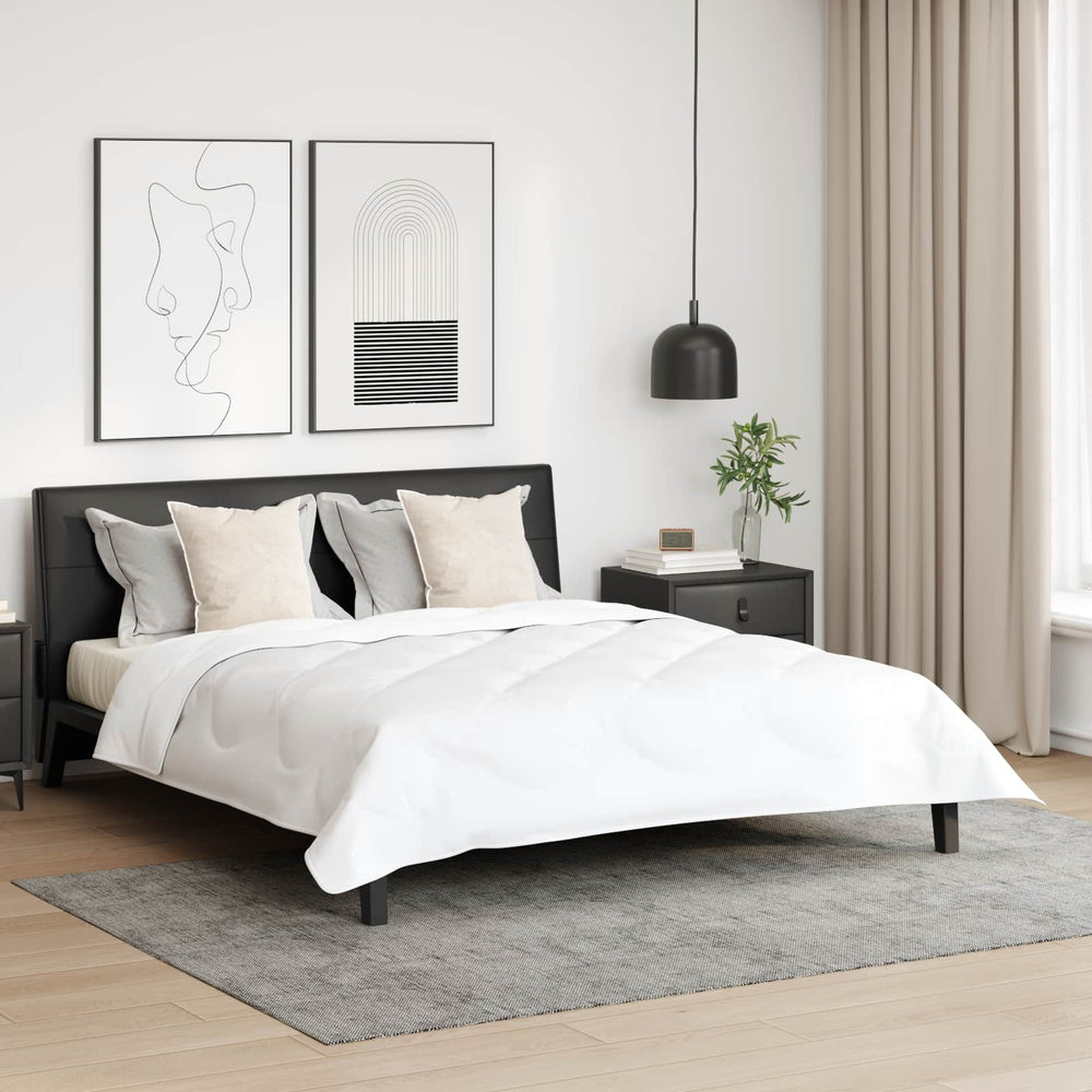 Vidaxl hoofdkussen met kussen 2 pcs wit 65 x 65 cm katoen