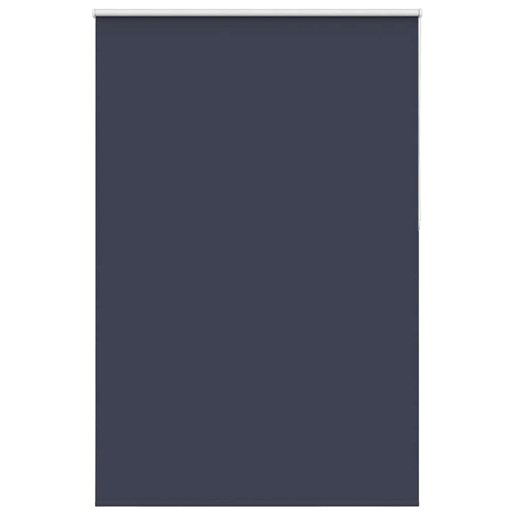 Vidaxl rolgordijn verduisterend 165x210 cm stofbreedte 161,6 cm blauw