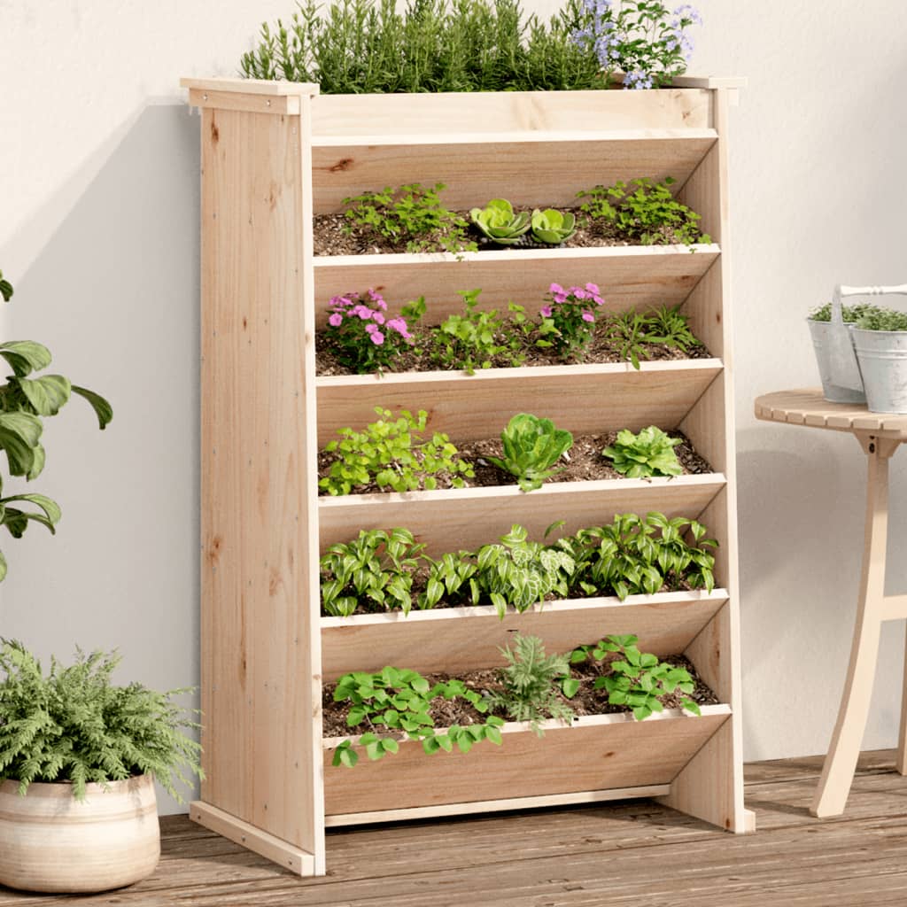 VidaXL Kruidenbak 6-laags 69x40x101,5 cm massief groenhout