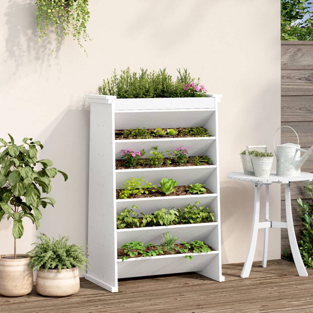 Vidaxl kruidenbak 6-laags 69x40x101,5 cm massief groenhout wit