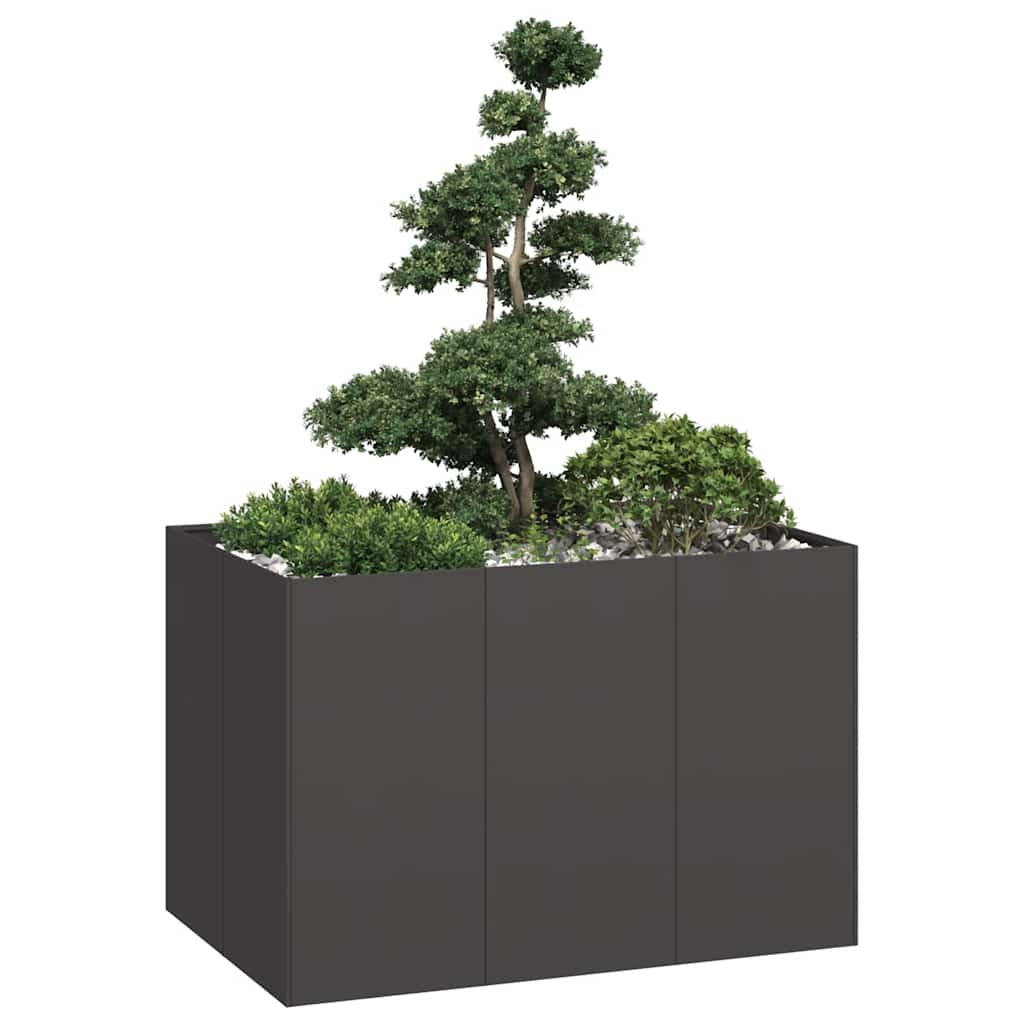 Vidaxl plantenbak 120x80x80 cm staal zwart