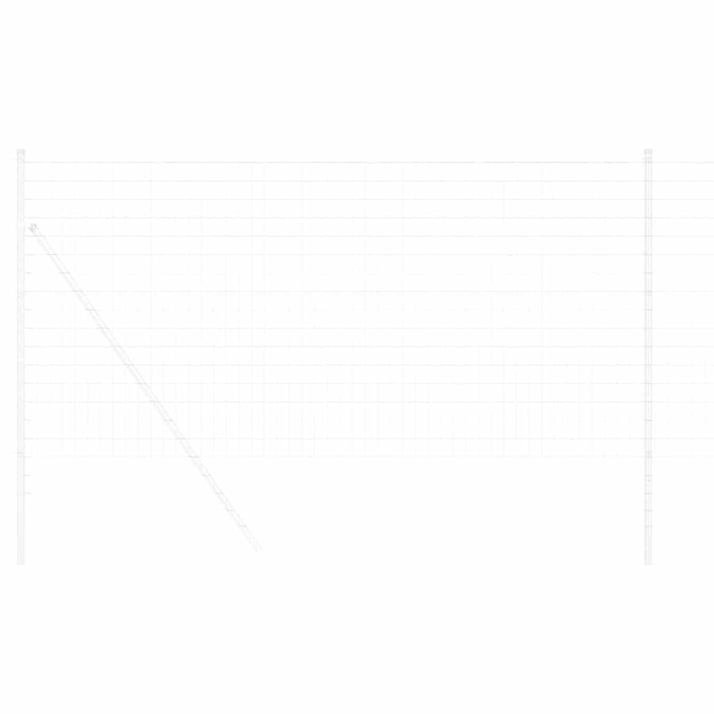 Vidaxl euro hek 1 x 25 m pvc-gecoat ijzer