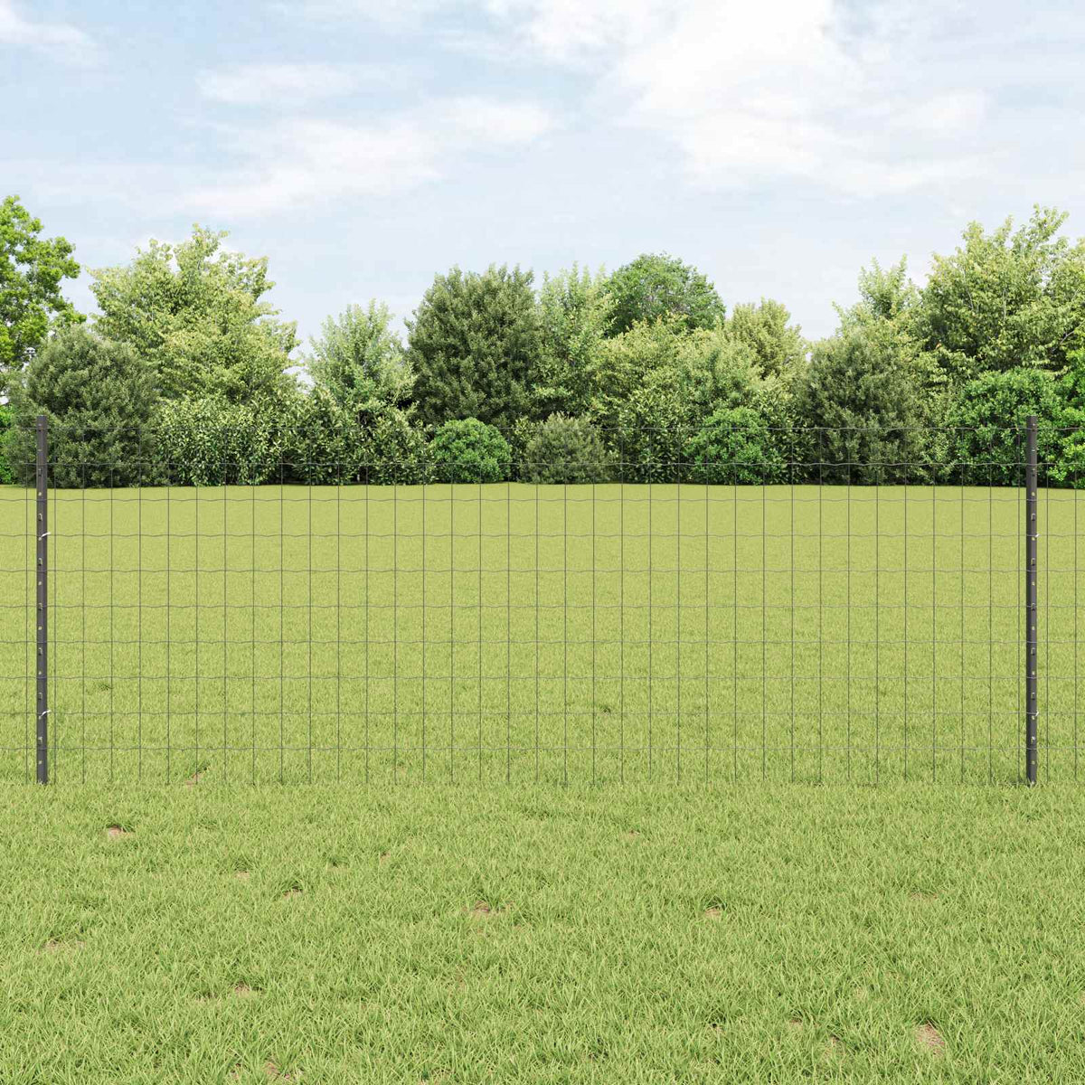 Vidaxl euro-hek met palen 25 x 0,8 m pvc-coated staal grijs mesh