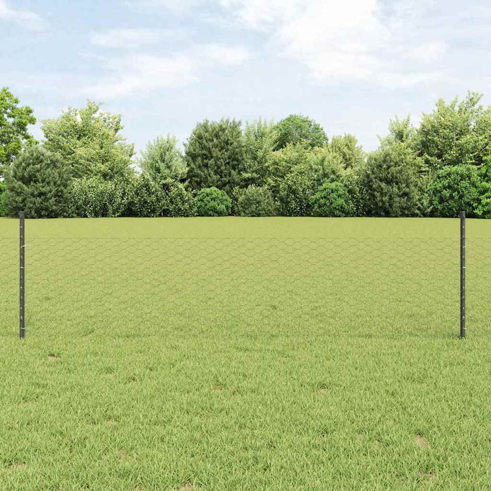 Vidaxl hek met paal grijs 0,5 x 25 m staal
