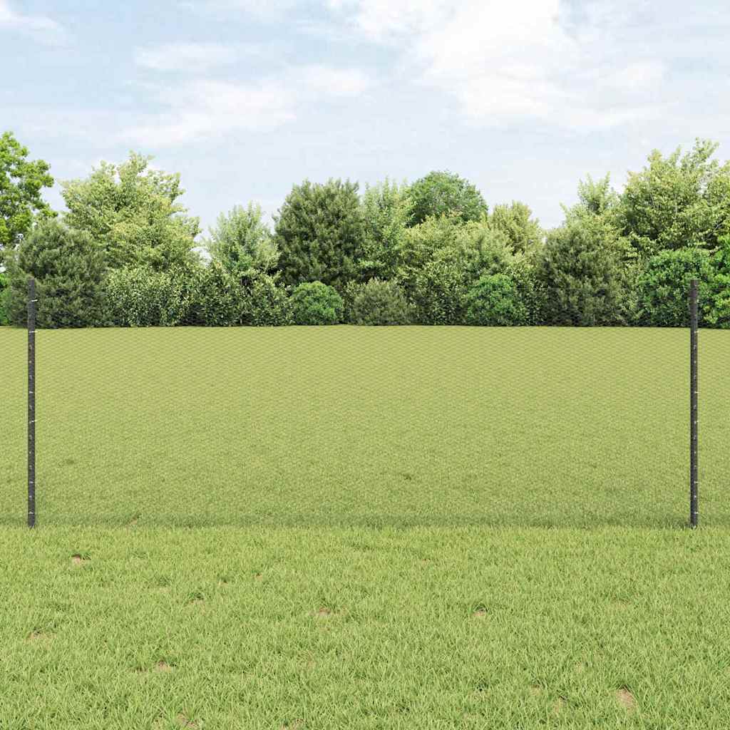 Vidaxl hek met paal grijs 0,8 x 25 m staal