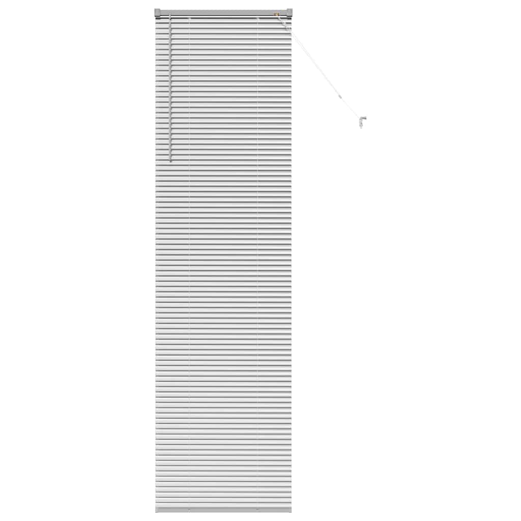 Vidaxl venetiaanse jaloezie zilver 220 x 60 cm 25 mm aluminium