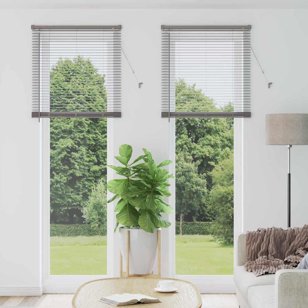 Vidaxl venetiaanse jaloezieën zilver 220 x 80 cm aluminium
