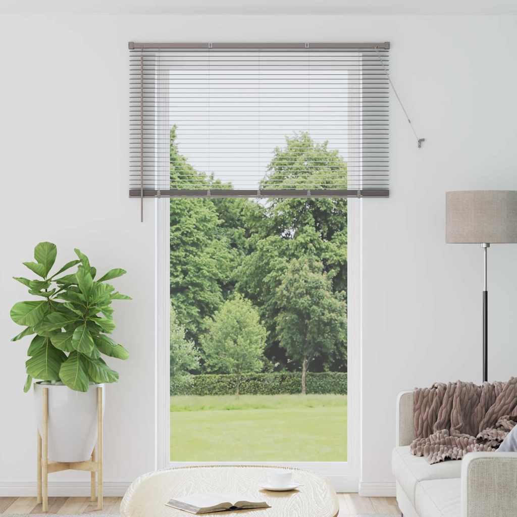 Vidaxl venetiaanse jaloezieën zilver 220 x 135 cm aluminium
