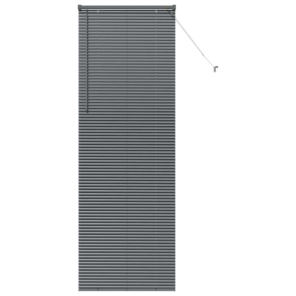 Vidaxl venetiaanse jaloezieën donkergrijs 220 x 70 cm aluminium