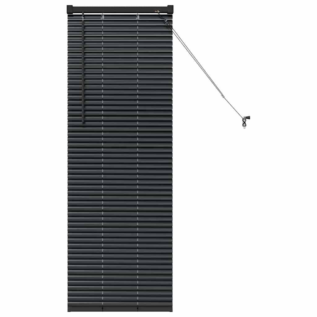 Vidaxl venetiaanse jaloezieën zwart 130 x 40 cm aluminium