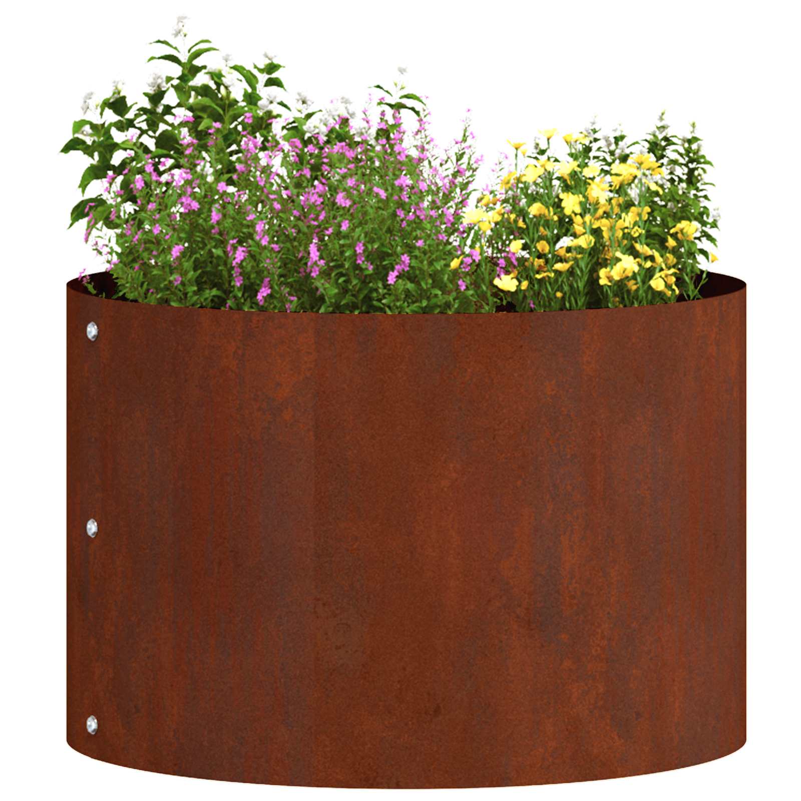 Vidaxl plantenring 5 pcs bruin 30 x 30 x 20 cm cortenstaal