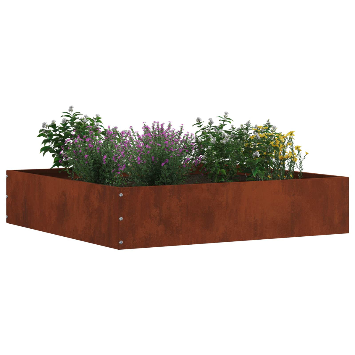 Vidaxl gazonrand 60 x 60 x 13 cm roestkleurig