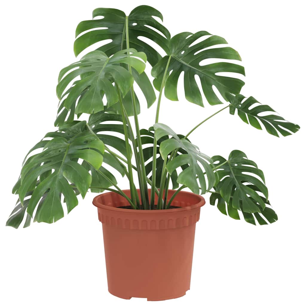 Vidaxl ronde bloempot 24 pcs baksteenrood ø 12,5 x 10 cm kunststof