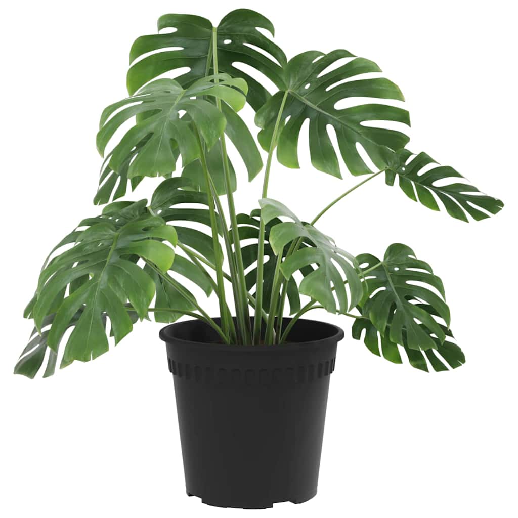 Vidaxl ronde bloempot 24 pcs zwart ø 19 x 16 cm kunststof