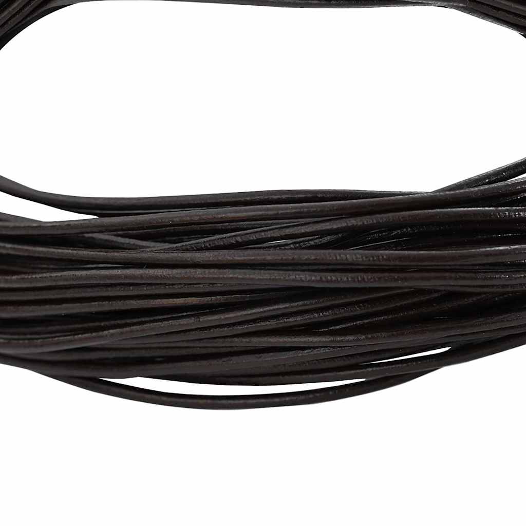 Vidaxl leren koord donkerbruin ø1 mm x 10 m leer
