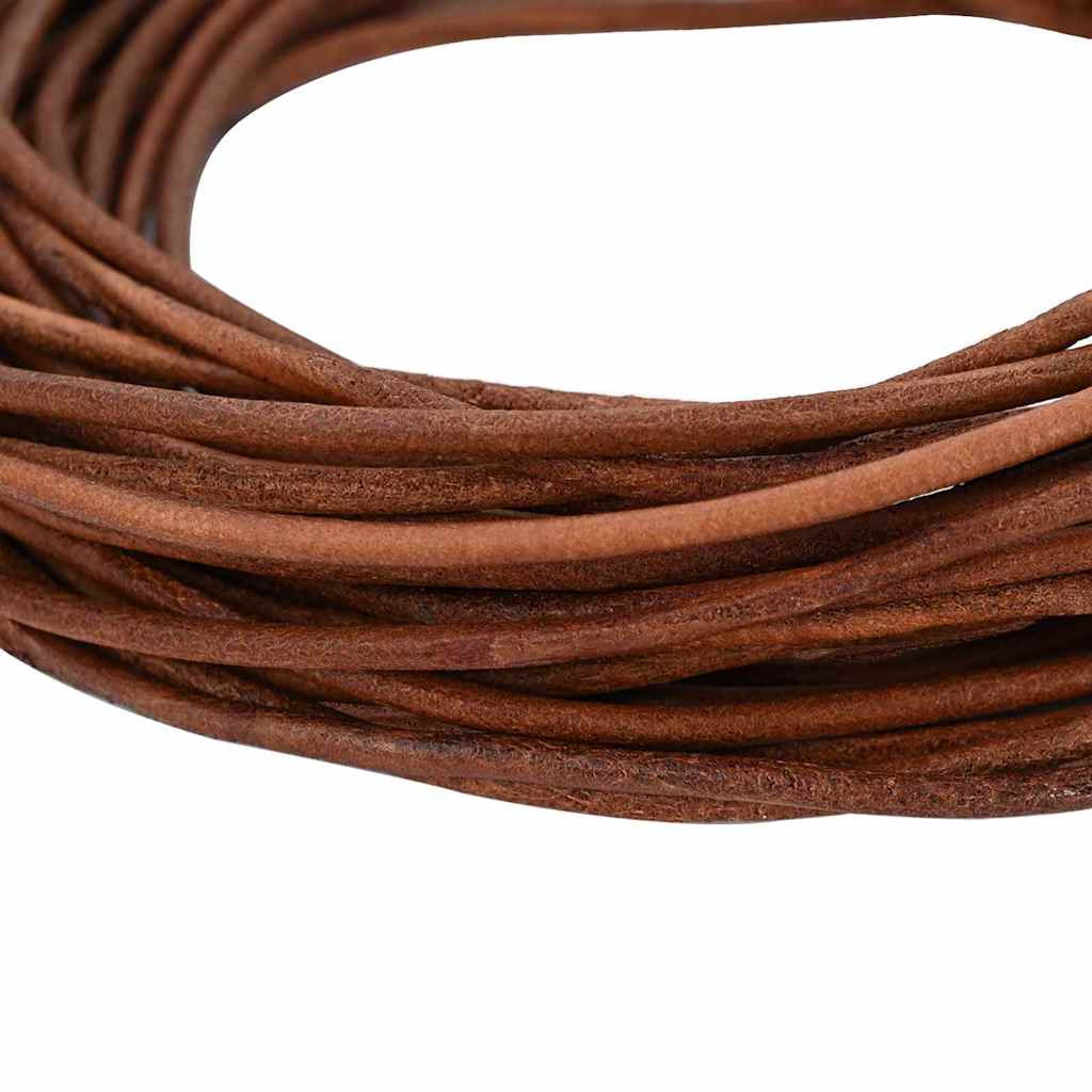 Vidaxl leren koord licht bruin ø2,5 mm x 10 m leer