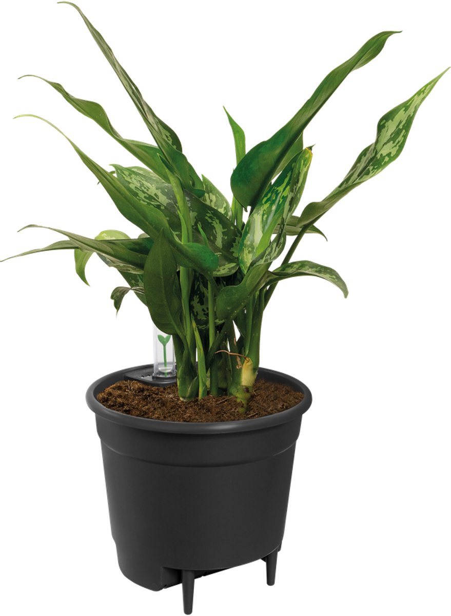 Elho self-watering insert 28 - binnenpot met watermeter - ø 27.7 x h 25.5 cm - living black