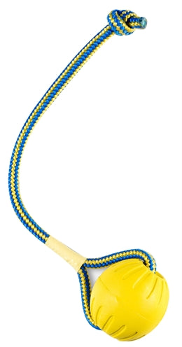 Starmark swing 'n fling durafoam haalt bal aan koord