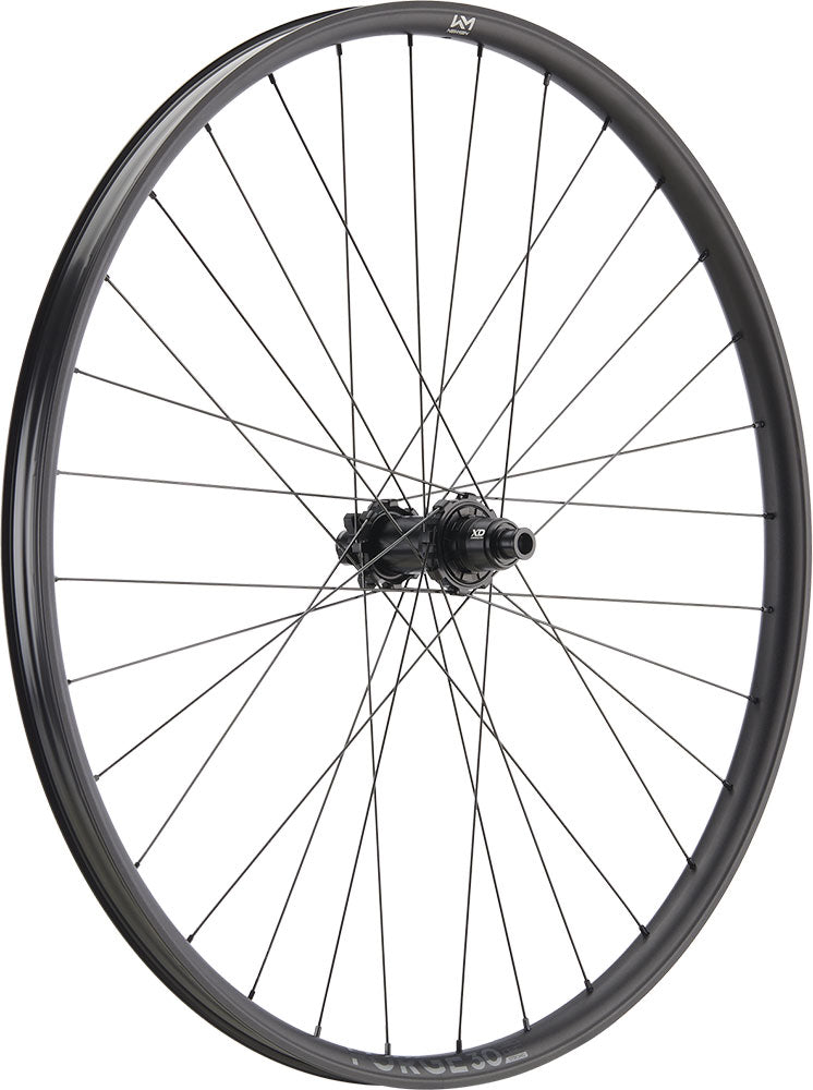 Newmen forge 30 dh 29 6-bolt 12x157 fade rear wheel | sram xd