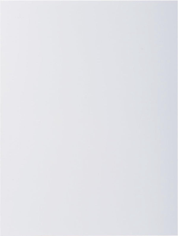 Exacompta rock''s 80 - pak van 100 inlegmappen 22x31cm voor a4 - wit - 800017e