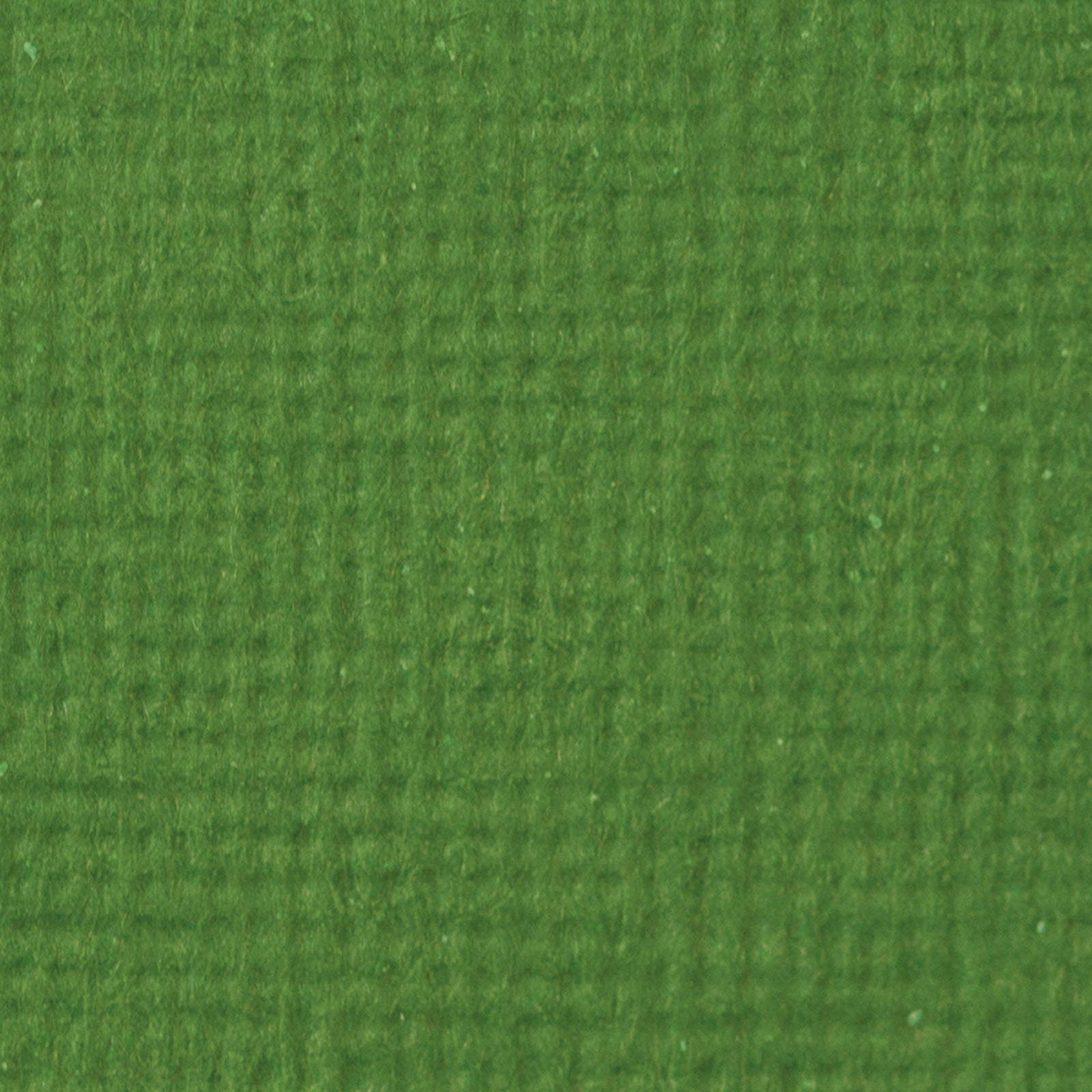 Craft perfect by tonic studios craft perfect • klassieke kaart 30,5x30,5cm 5 vellen fern green