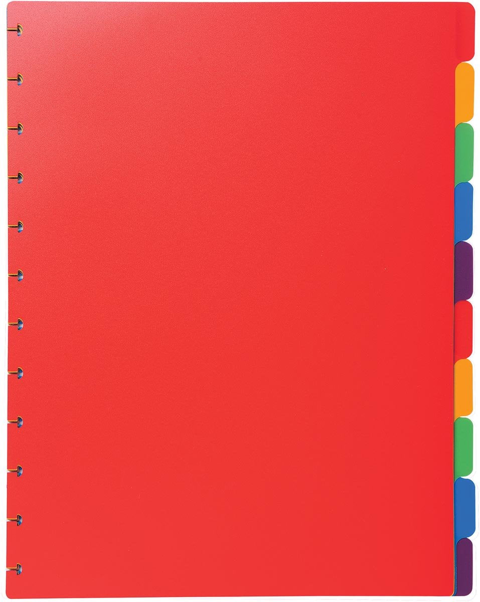 Exacompta uitneembare tabbladen voor showalbum met ringen, in gekleurd pp, 10 tabs