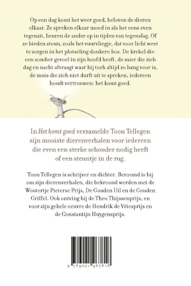 Toon tellegen: het komt goed. cadeauboek