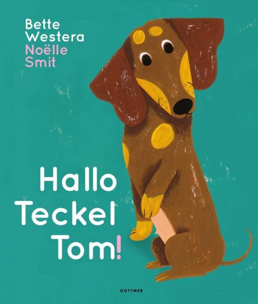 Imp hallo teckel tom. 3+ vlag en wels gri