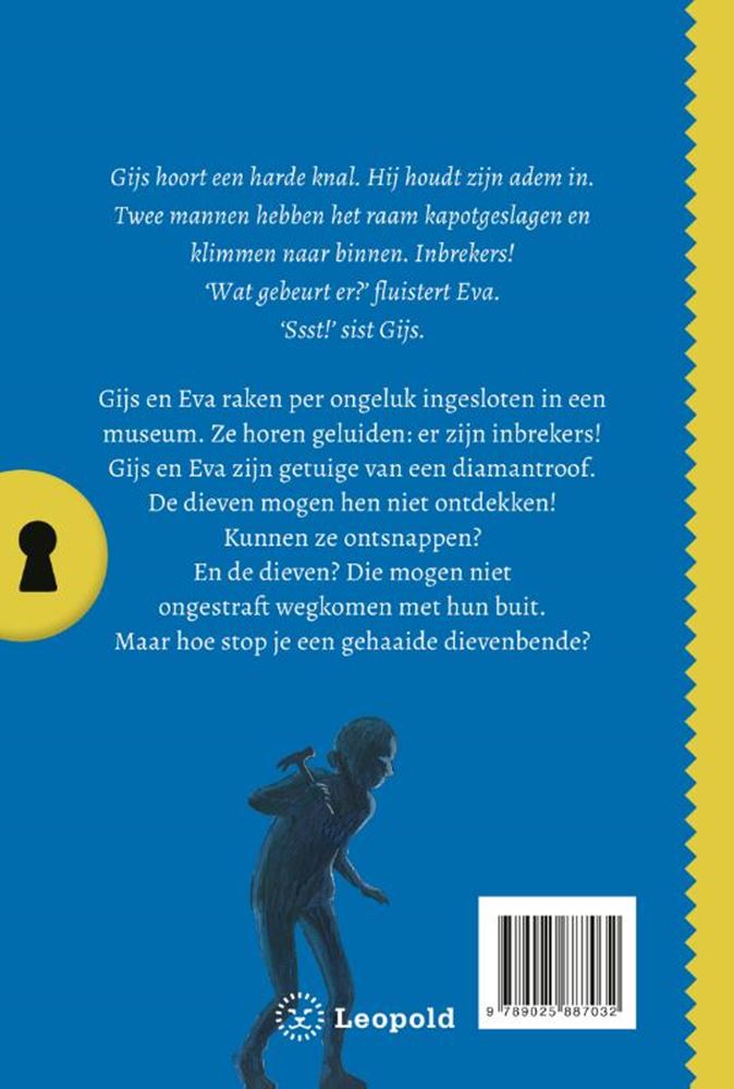 Het geheim van de duistere diamantroof