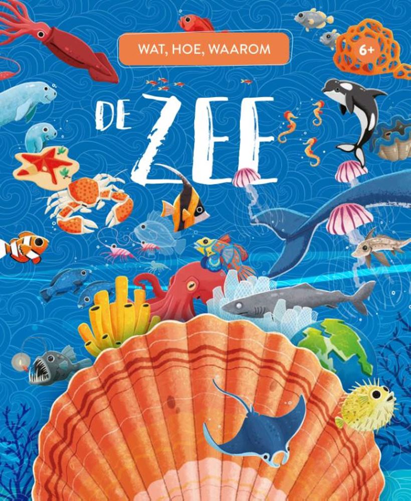 Rebo uitgeverij de zee - wat, hoe en waarom