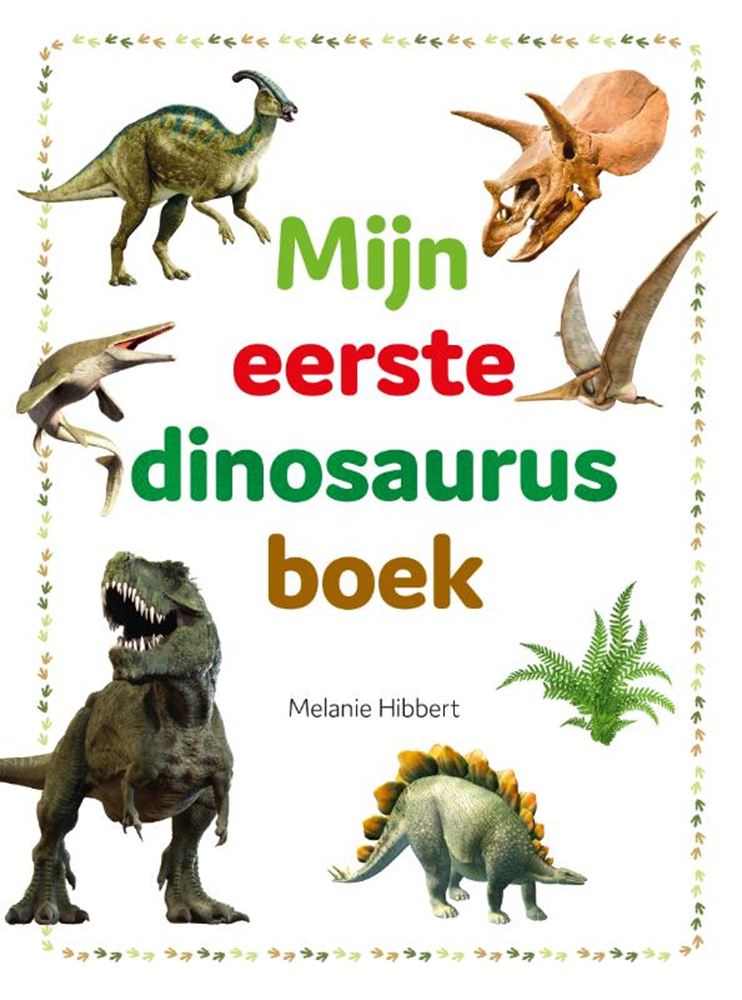 Rebo uitgevers mijn eerste dinosaurusboek