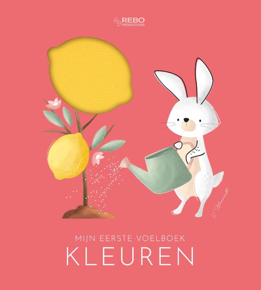 Rebo uitgevers kleuren - eerste voelboek