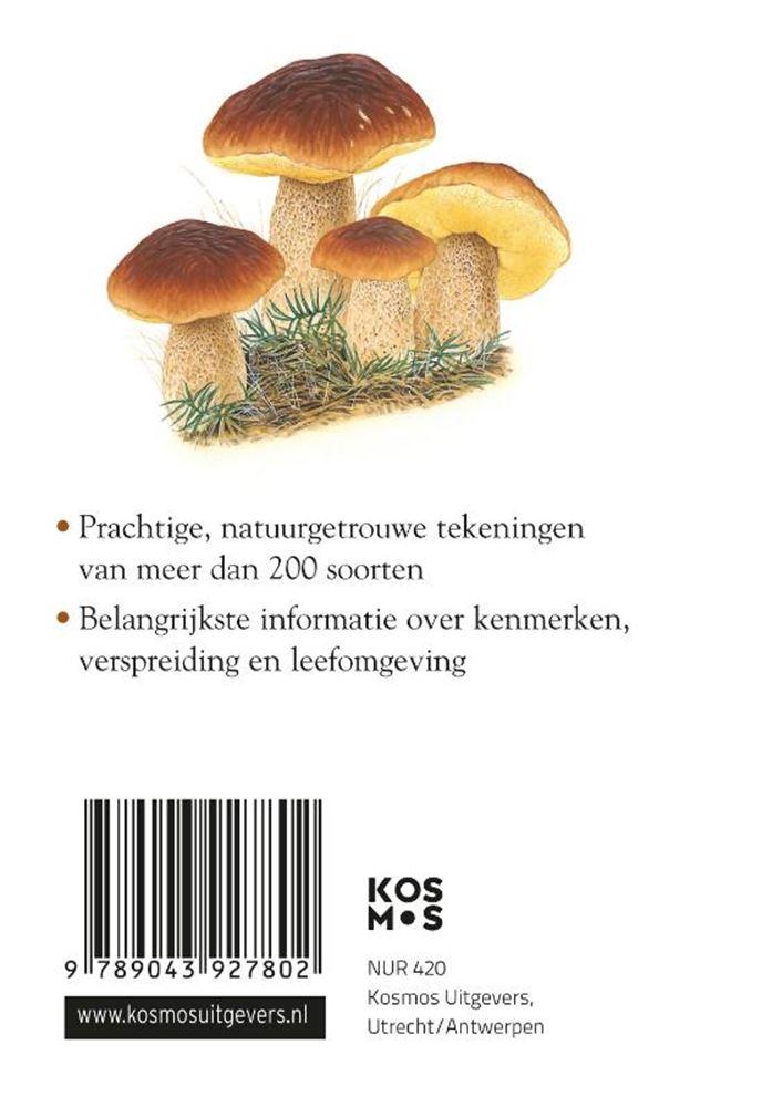 Compactgids: paddenstoelen (pb)