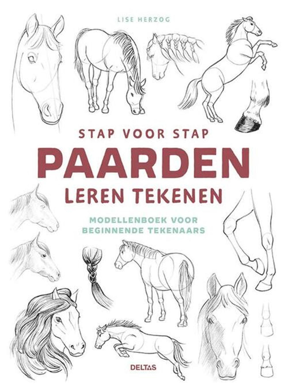 Deltas stap voor stap paarden leren tekenen